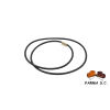 ORING/PRASA WELGER