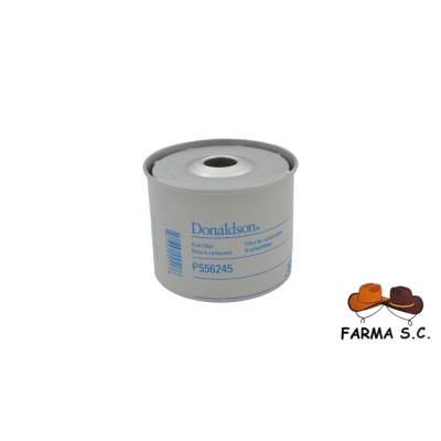 FILTR PALIWA P556245