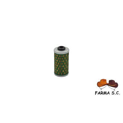 FILTR PALIWA P32
