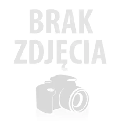 SPRĘŻYNA PRZEKŁADNI SIEWNIK