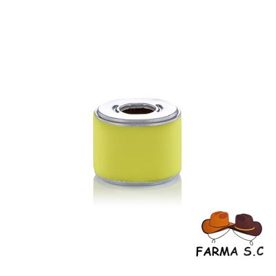 FILTR POWIETRZA C10016